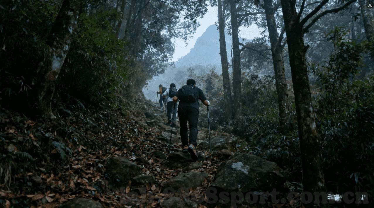 乐鱼体育提款秒到账04-无懈可击的提款体验——乐鱼体育的秒到账服务详解